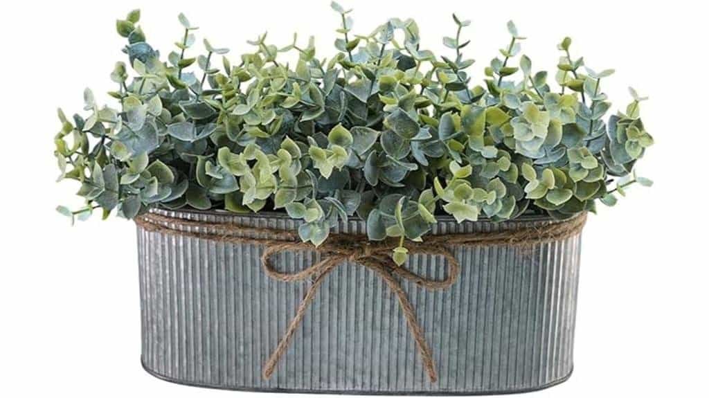 eucalyptus arrangement in planter