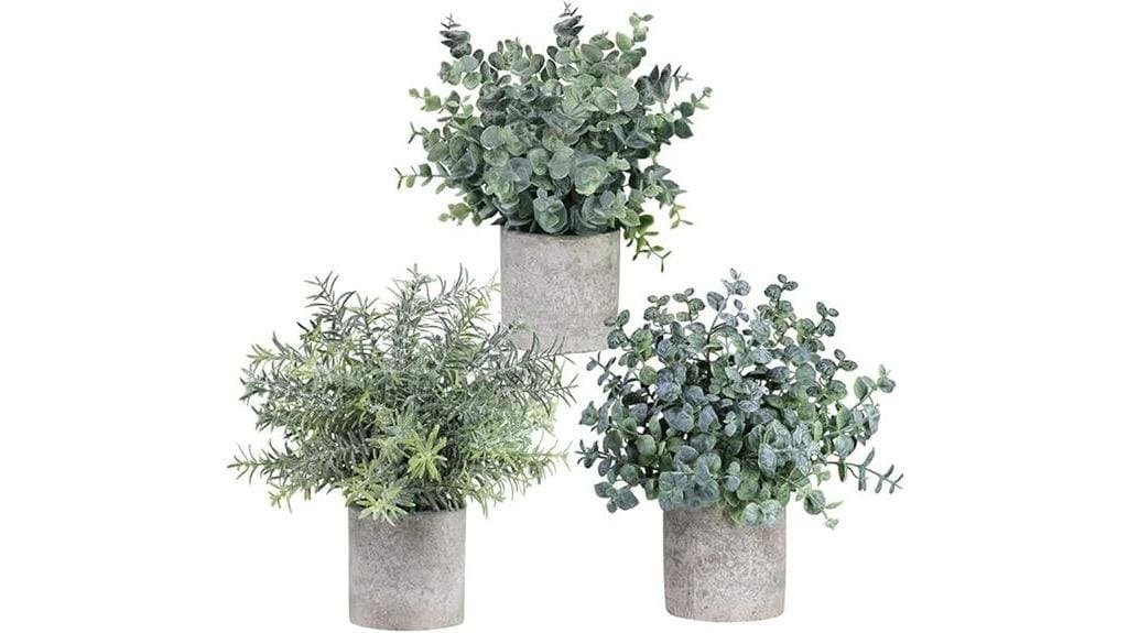 mini eucalyptus plant set